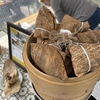 cafe courier宮川朝市店へ行ってみた