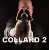Collard 2 (名前の予言） by John Archer