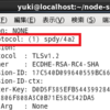 今週のSPDY/4の話。