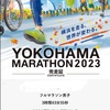 【超遅報】横浜マラソン走ってきました💨