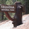 Sequoia National Park