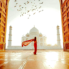 A Timeless Journey to Love: The Taj Mahal Tour via Gatimaan Express