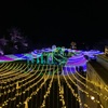 2020年国営アルプスあづみの公園のイルミネーションを観に行ってきたよ！