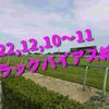 2022,12,10～11 トラックバイアス結果 (中山競馬場、阪神競馬場、中京競馬場)