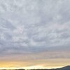 平日は楽しいことがまったくないです