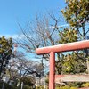 （巻四十三）人避けて人に避けられ半夏生(市川蘆洲)