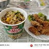 国産若鶏塩竜田揚げ＋タイ日清製造ミンスドポーク味