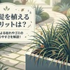 龍の髭を植えるデメリットは？ゴミの溜まりやすさを解説！