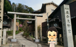 記事を見る