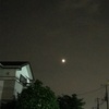 また撮ってしまった