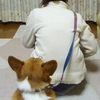 おんぶの練習