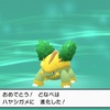 『ポケットモンスター シャイニングパール』プレイ日記#2 戦力増強