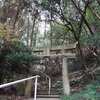 日天宮①　