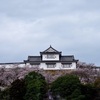 日本三大平山城の一つ   津山城 も 桜祭り