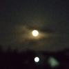 私には夢がある