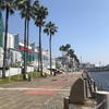 【EペースJog】12km Ave 4'30/km 久しぶりの出社