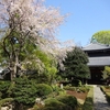 2023　4/1の拝観報告2（霊鑑寺・安楽寺・法然院 特別公開）