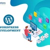 What and Why: About WordPress Website Development?