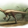 イゴール・バイドフ🍀ジュラ紀の新発見！小型で素早い新種恐竜Enigmacursor mollyborthwickaeとは？