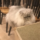 客席からステージへ