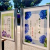 都立 神代植物公園の「あじさい園」♫