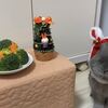 メリークリスマス！