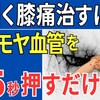 【世界が注目する！ひざ痛新理論】長引く膝痛を治したいならモヤモヤ血管を15秒押せ！#114