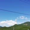 梅雨の晴れ間？青空　庭の花