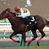 【アイビスサマーダッシュ展望】昨年の２着馬で直線巧者のネロが中心