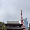 みなと区民まつりに行きました。