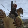FF14でグゥーブーマウントを追い求めたよー！