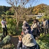 昨日のハーブ講習会