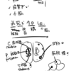 脳出血の好発部位