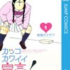 カッコカワイイ宣言！