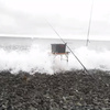 海釣り凸！2022/6.28釣果
