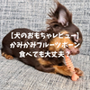 【犬のおもちゃレビュー】かみかみフルーツボーンは食べても大丈夫！？