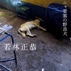 若林正恭『表参道のセレブ犬とカバーニャ要塞の野良犬』