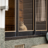 北西九州離島のねこさん