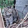 今年もありがとうございました
