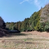24/02/24　谷戸田の風景　