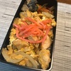 【お弁当】親子丼弁当　弁当作りに困った時はいつもこの弁当になってしまう