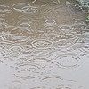 雨の日曜日に想うこと