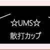 【盛大に終了しました】第1回UMS杯 格闘技交流大会の開催のお知らせ