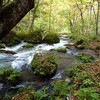 東北旅行（その３）奥入瀬・乳頭温泉郷