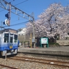 【乗り鉄】2026年4月　越前tabiwaパスで桜を愛でる旅②　えちぜん鉄道三国芦原線に乗り満開の桜を満喫