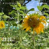 25度でのインターバルは最高