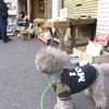 田原町界隈をお散歩