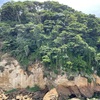 【無人島観光】猿島でジブリの世界を堪能！