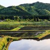 総務省、田園回帰調査発表！2000人以下の過疎地山村・離島で増！