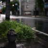 雨雨雨の一週間